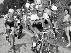 Agostinho-Tour1972-Poulidor-Van Impe