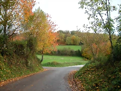 DSCN5899 DSCN5899