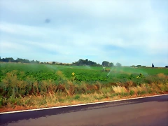 DSCN6693 DSCN6693