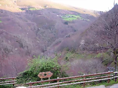 DSCN8583