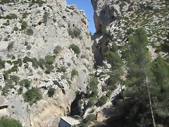 IMG_4329 IMG_4329
