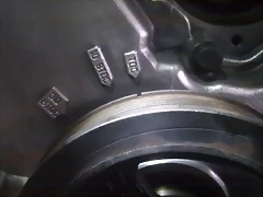 IMAG0311