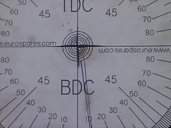 IMAG0317
