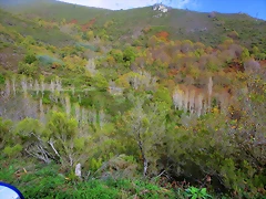 IMG_9052 IMG_9052