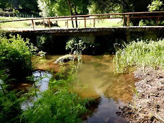 DSCN2472