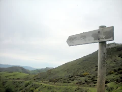 DSCN4621 DSCN4621