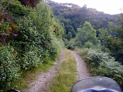 DSCN9231 DSCN9231