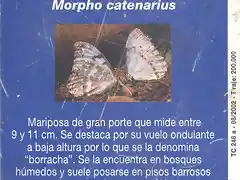 MARIPOSA012