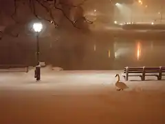 Copia de cisne en la nieve en Central Park