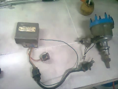 Foto0031