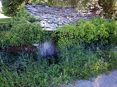 DSCN2370 DSCN2370