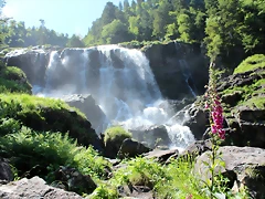IMG_7205 IMG_7205