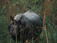 IMG_1012 IMG_1012