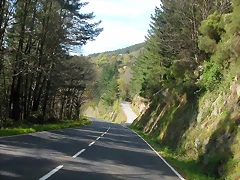 DSCN8635