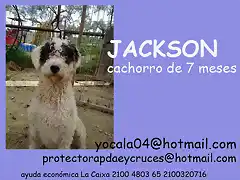 JACKSON Sevilla