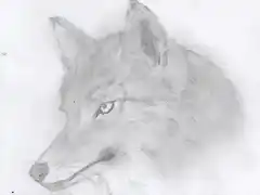 wolf_by_saihiroto-d7trmuk