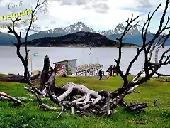 Isla Redonda, Ensenada, Ushuaia, Tierra del Fuego