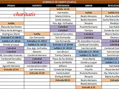 Domingo de Ramos (tarde) copiar