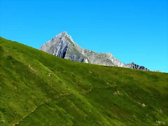 IMG_7274 IMG_7274