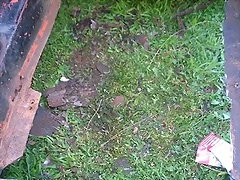10589793_10204503779979891_92164650_n 10589793_10204503779979891_92164650_n