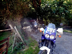 DSCN7867