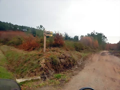 DSCN3089 DSCN3089