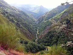 DSCN4327 DSCN4327