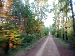 DSCN9549 DSCN9549