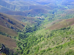 037-Imagen 039 037-Imagen 039