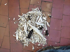DSCF1391 DSCF1391