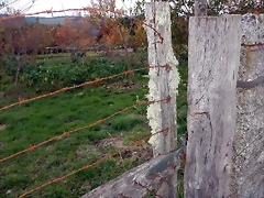 DSCN0644'6