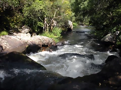DSCN2790 DSCN2790