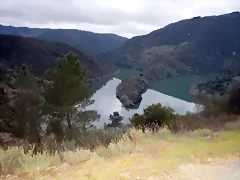 DSCN0342 DSCN0342