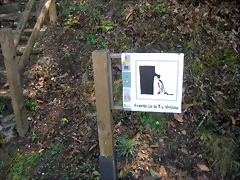 IMG_0184 IMG_0184