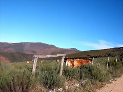 DSCN6780 DSCN6780
