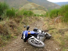 IMG_4692 IMG_4692