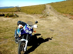 DSCN9705 DSCN9705