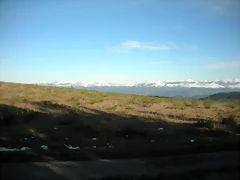 DSCN2505 DSCN2505