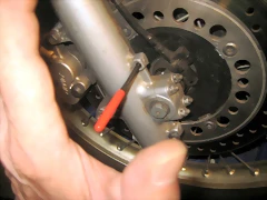 IMG_1299 IMG_1299