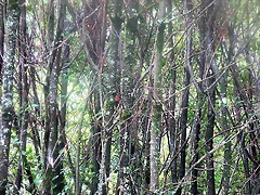 35-IMG_3179 35-IMG_3179