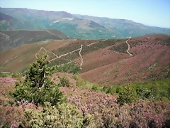 DSCF2568 DSCF2568
