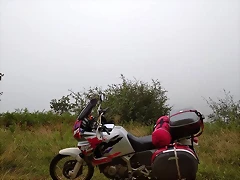 30