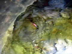 DSCN3769 DSCN3769