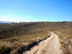 DSCN1550 DSCN1550