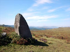 DSCN0590 DSCN0590
