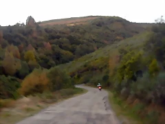 DSCN8995 DSCN8995