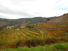 DSCN9943 DSCN9943