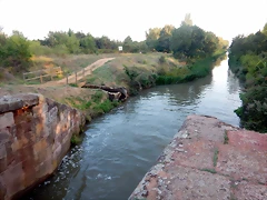 DSCN9531 DSCN9531