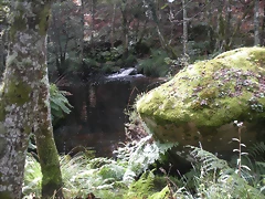 DSCN8997 DSCN8997