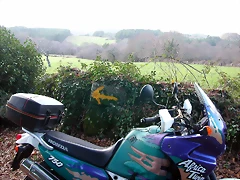 DSCN7199 DSCN7199